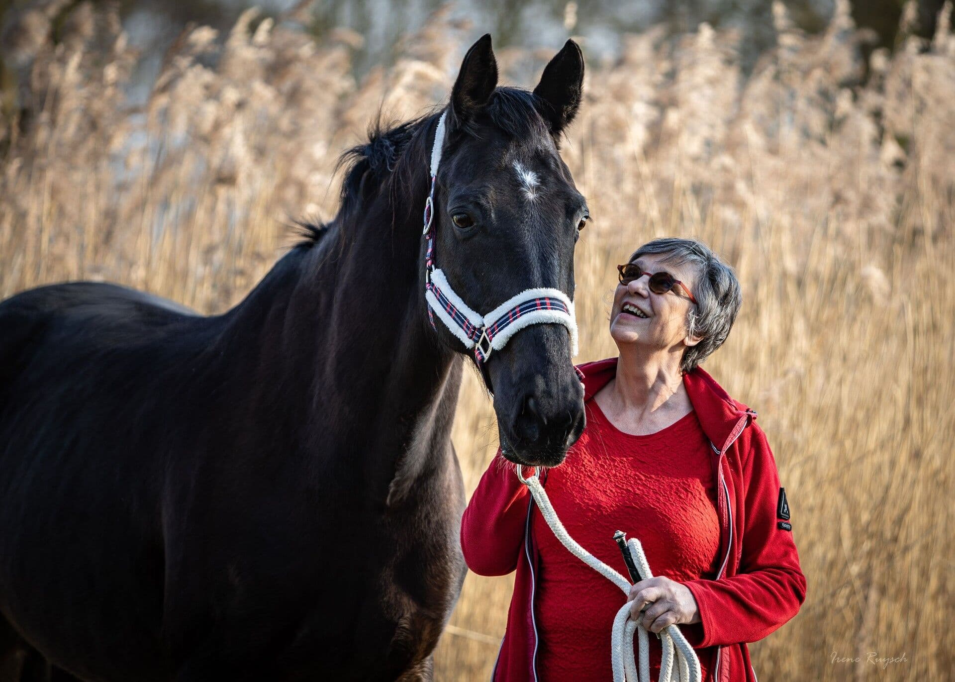 Mieke kijkt lachend omhoog naar haar donkere paard, tussen het hoge riet