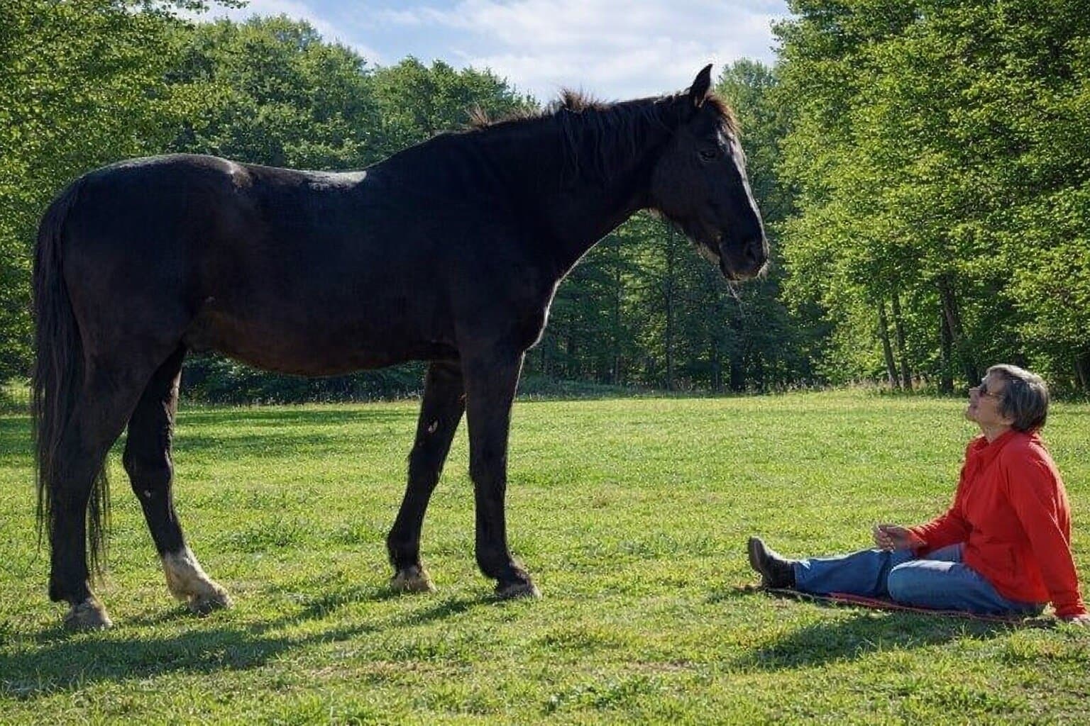 Mieke met een paard in de wei