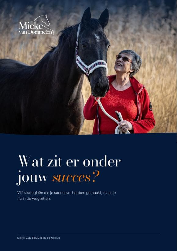 Cover van het e-book Wat zit er onder jouw succes?